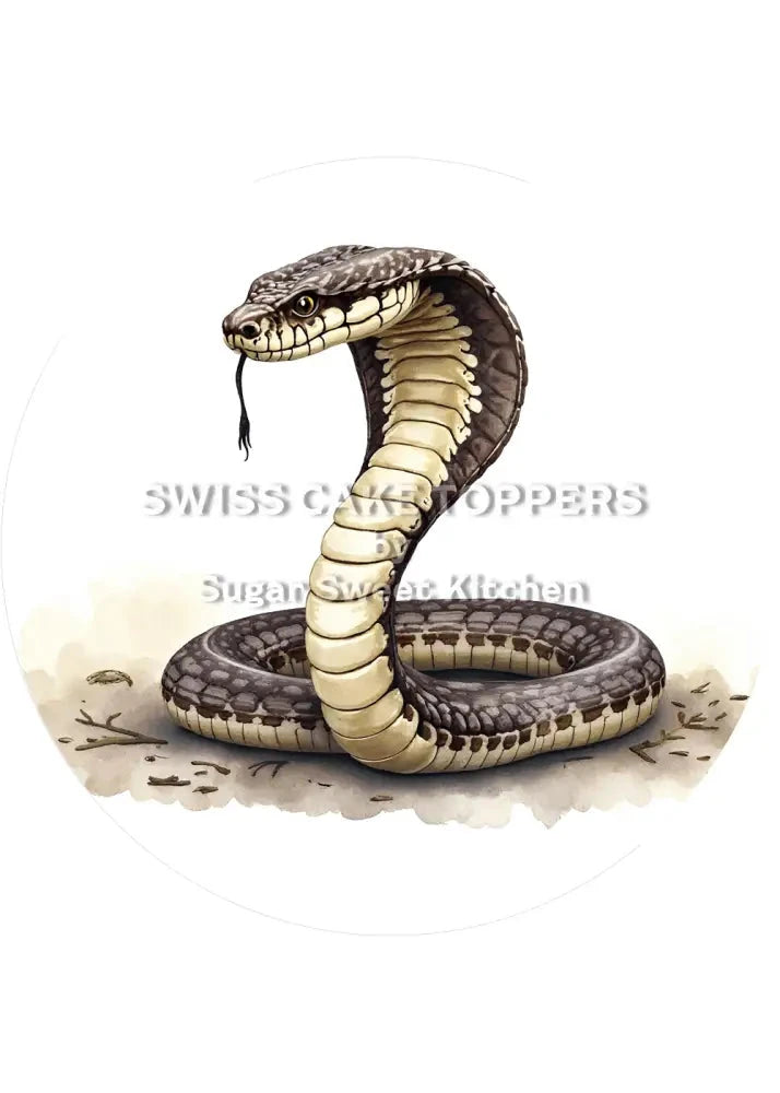 Einmaliger Schlangen-Tortenaufleger2 - personalisierbar - Fondant- Torten- & Cupcakeaufleger Sugar Sweet Kitchen
