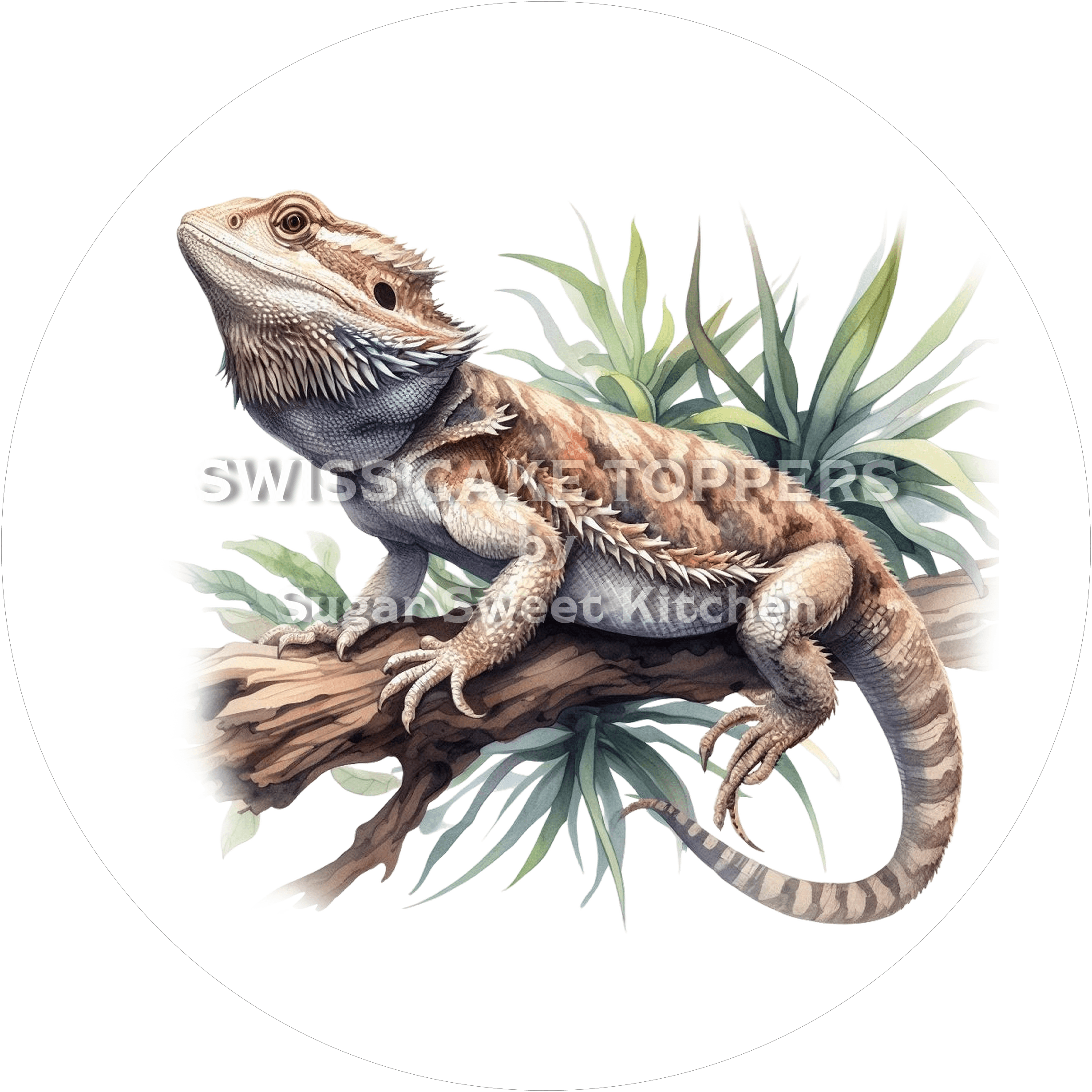 Einzigartiger Bartagamen-Tortenaufleger2 - personalisierbar - Fondant- Torten- & Cupcakeaufleger Sugar Sweet Kitchen