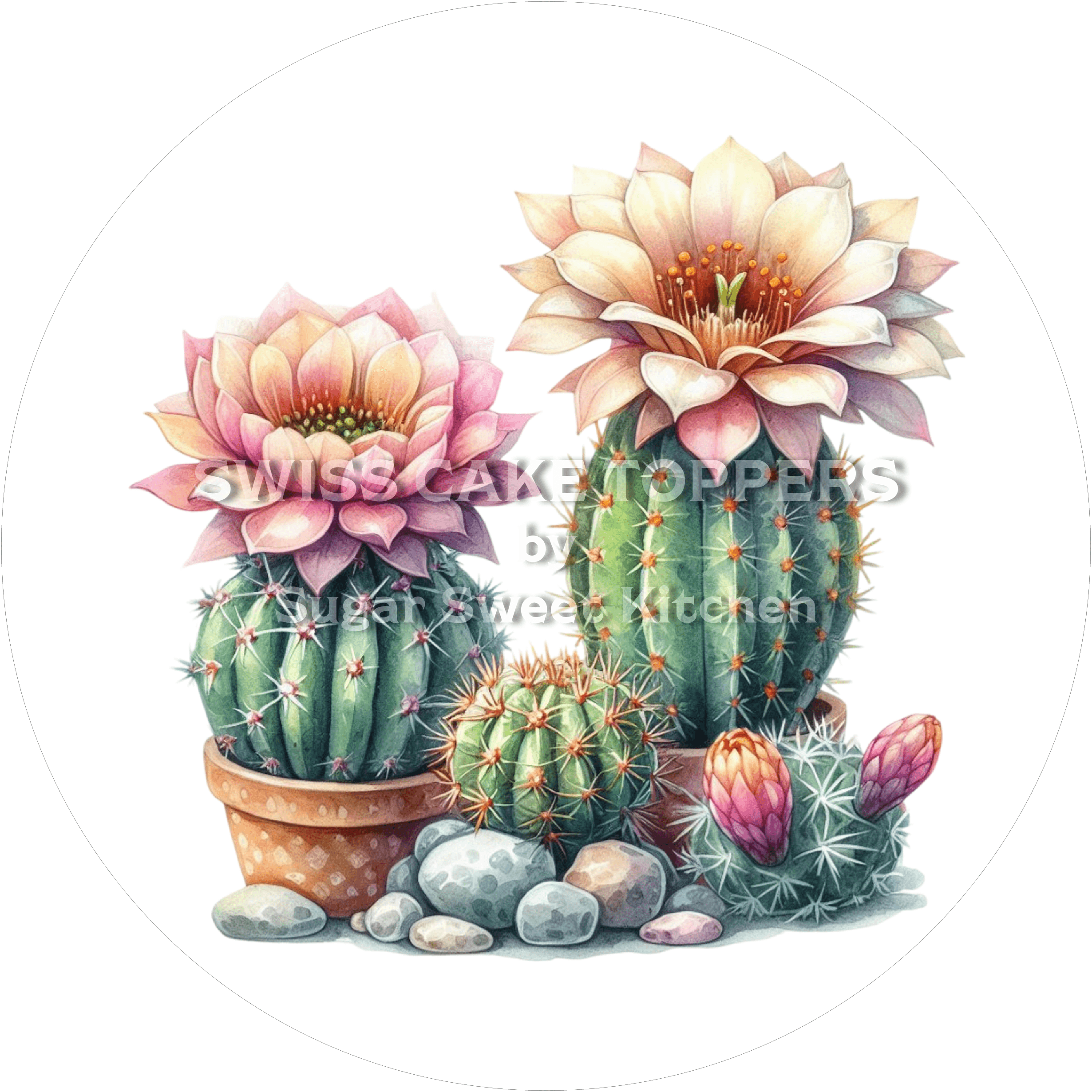 Einzigartiger Kakteen-Tortenaufleger1 - personalisierbar - Fondant- Torten- & Cupcakeaufleger Sugar Sweet Kitchen