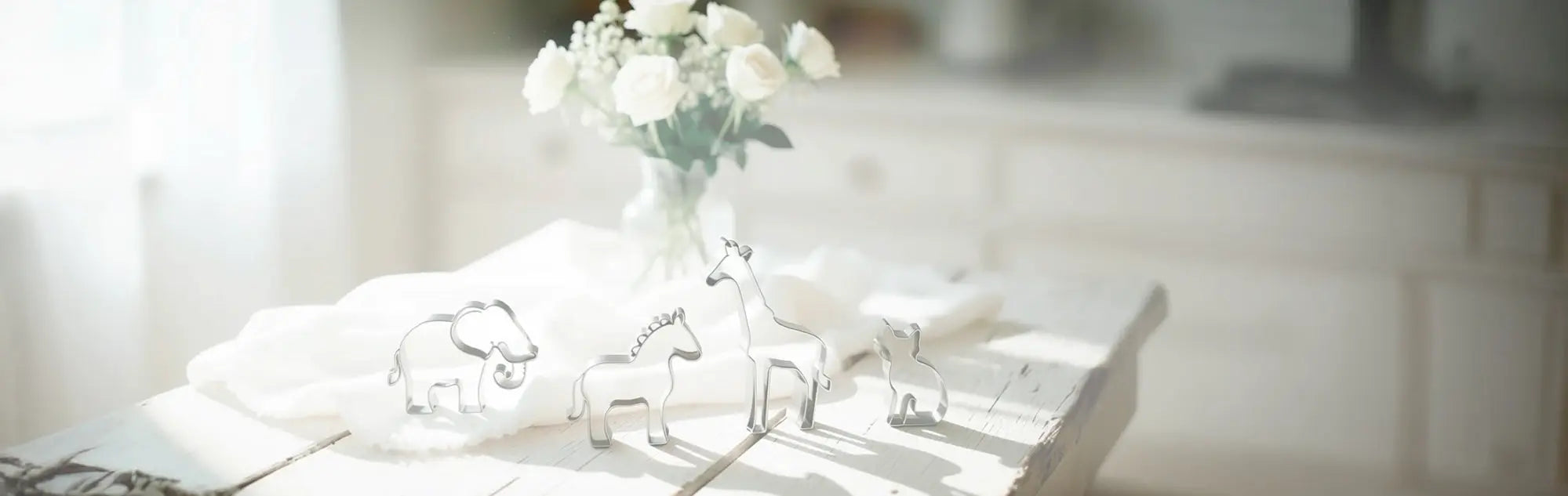 Animaux, Dinosaures & Mer