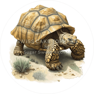 Einzigartiger Schildkröten-Tortenaufleger5 - personalisierbar