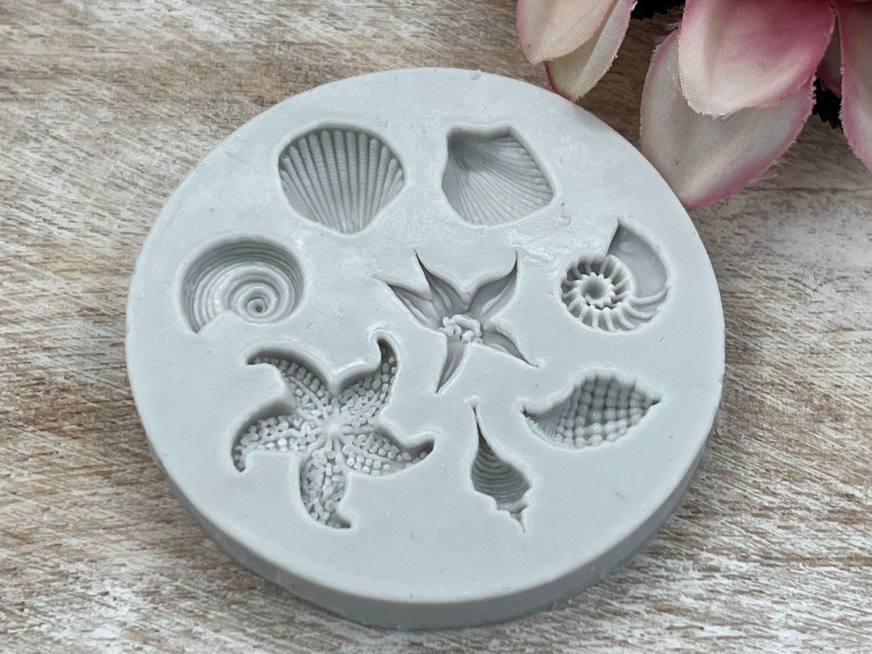 Silikonform Muscheln / 6,5cm - Silikonformen Sugar Sweet Kitchen