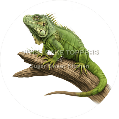 Origineller Leguan-Tortenaufleger2 - personalisierbar