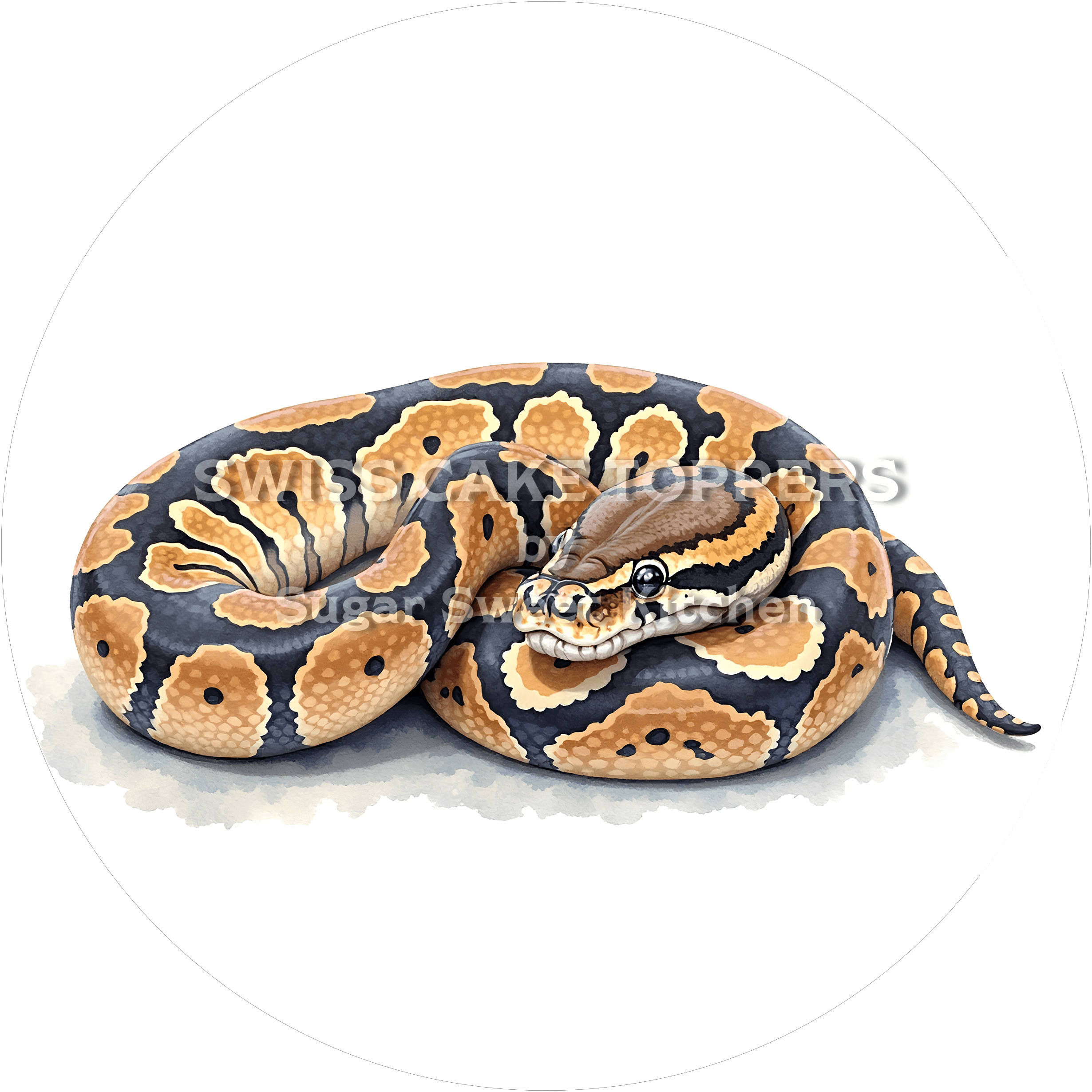 Toller Schlangen-Tortenaufleger4 - personalisierbar - Fondant- Torten- & Cupcakeaufleger Sugar Sweet Kitchen