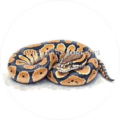 Toller Schlangen-Tortenaufleger4 - personalisierbar