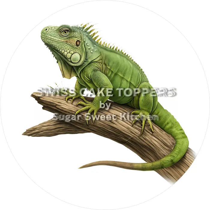 Tortenaufleger Leguan 02 - essbar & personalisierbar - Fondant- Torten- Cupcakeaufleger Sugar Sweet Kitchen