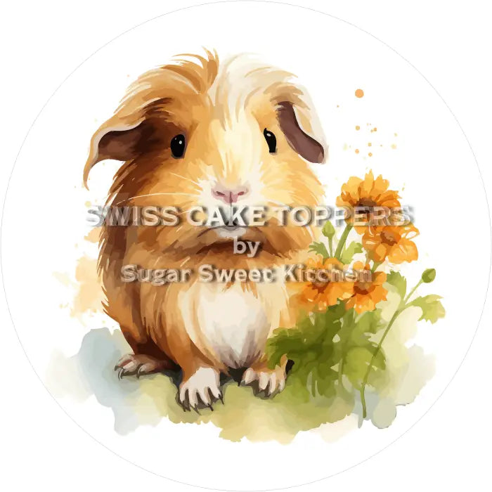 Tortenaufleger Meerschweinchen 03 - essbar & personalisierbar - Fondant- Torten- Cupcakeaufleger Sugar Sweet Kitchen