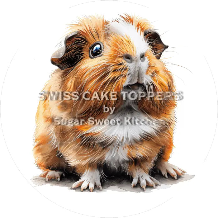 Tortenaufleger Meerschweinchen 04 - essbar & personalisierbar - Fondant- Torten- Cupcakeaufleger Sugar Sweet Kitchen