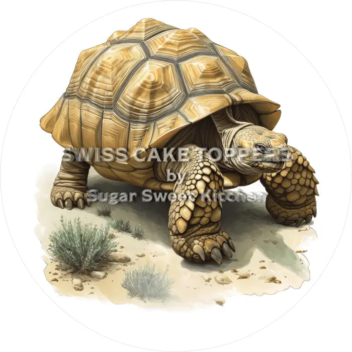 Tortenaufleger Schildkröte 05 - essbar & personalisierbar - Fondant- Torten- Cupcakeaufleger Sugar Sweet Kitchen