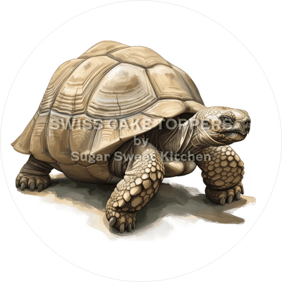 Wundervoller Schildkröten-Tortenaufleger6 - personalisierbar