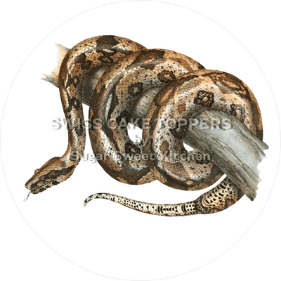 Wundervoller Schlangen-Tortenaufleger5 - personalisierbar